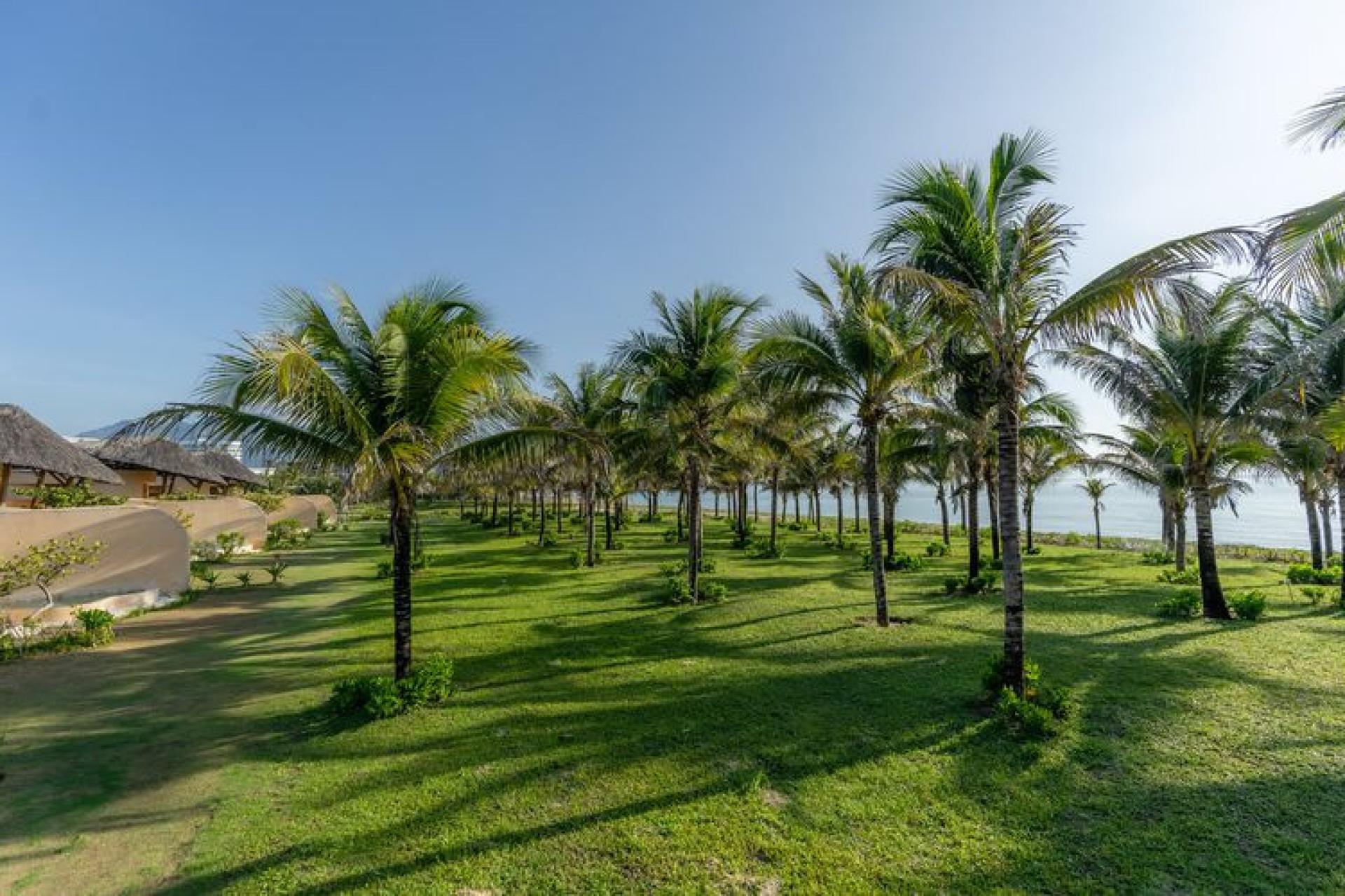 ANA MANDARA RESORT CAM RANH 2